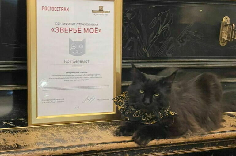   пресс-служба ПАО СК «РОСГОССТРАХ»