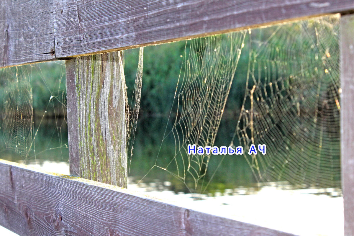 Моя личная фотография