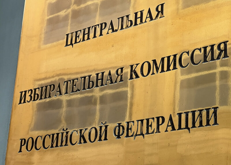    «Решение может оказаться неверным». Что ждёт инициативу разрешить участвовать в голосовании на выборах с 16 лет