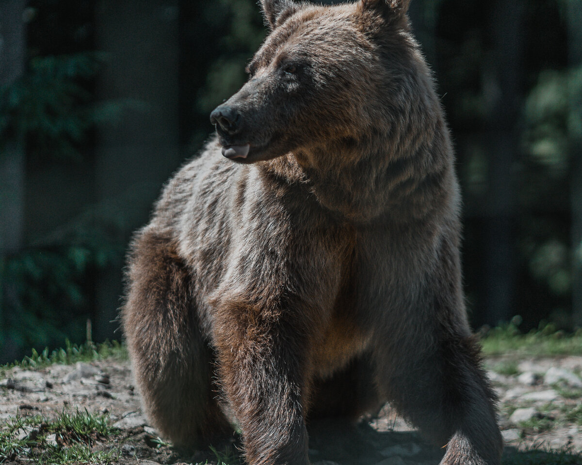 Фотография Евгения Чистякова https://unsplash.com/photos/56gY8YTCToc