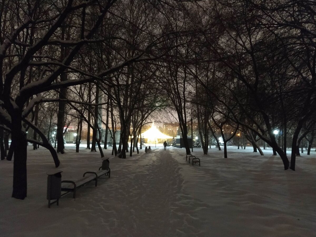 В парке, декабрь 2022г. 