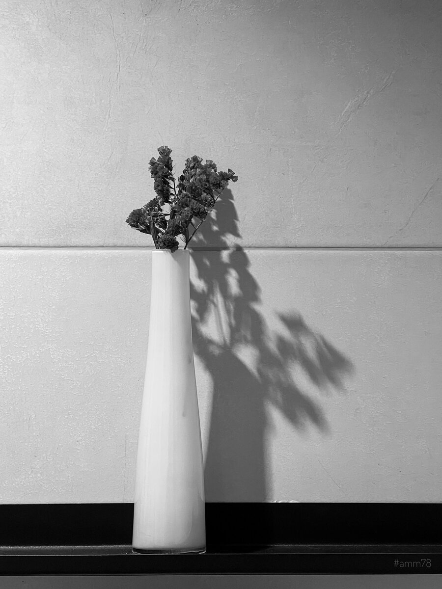 iPhone 13 Pro; Lightroom mobile