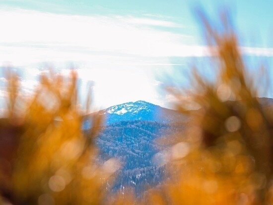     pixabay.com