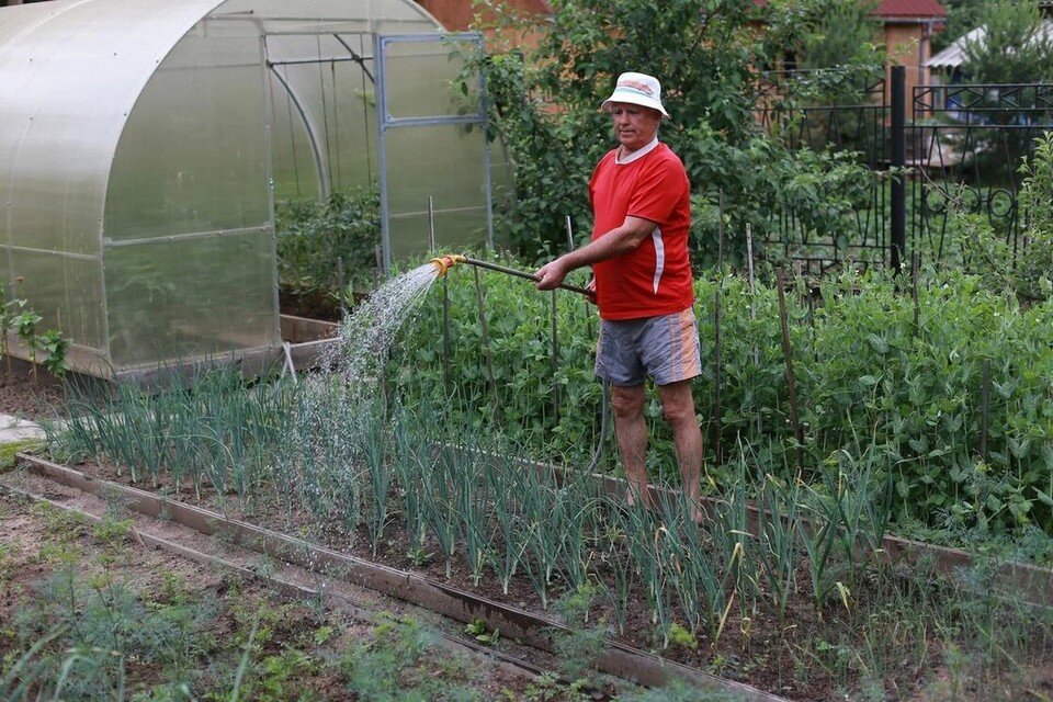     Эксперт считает, что зимой следует обязательно носить снег на грядки в теплицу. Мария ЛЕНЦ
