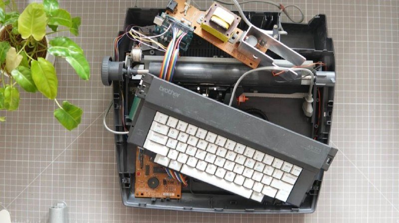    Фото: Twitter / Arvind Sanjeev Мария Скорина