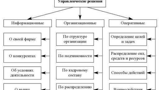 Какую отчетность сдает СНТ