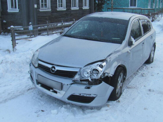     фото Пресс-службы УМВД России по Архангельской области