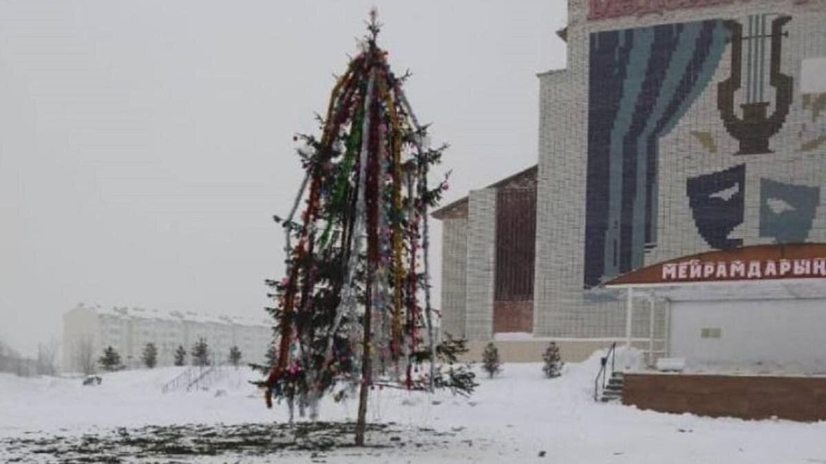    Елка в ВКО:Telegram/asshotobozhaet