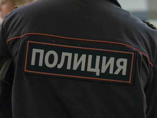     фото: Дмитрий Каторжнов