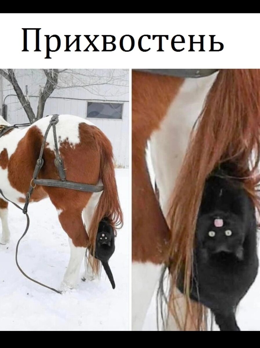 Из интернета