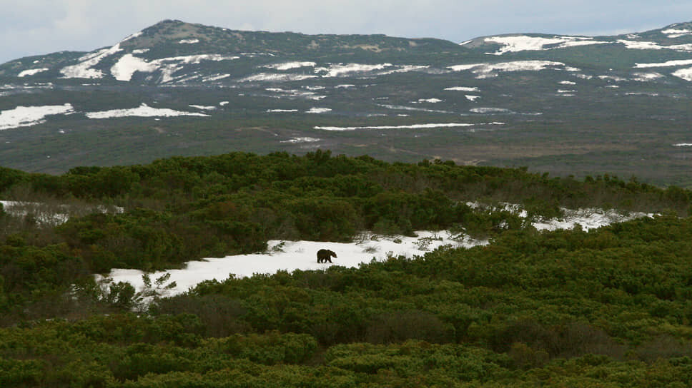    Фото: Ильдар Азюков / Коммерсантъ