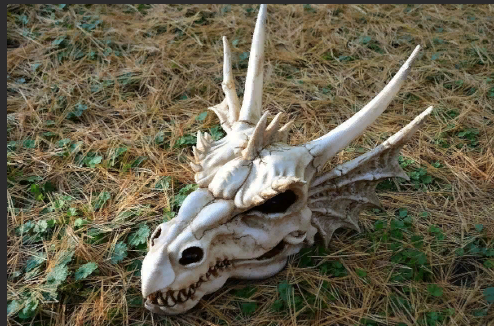 Взято из свободных источников.