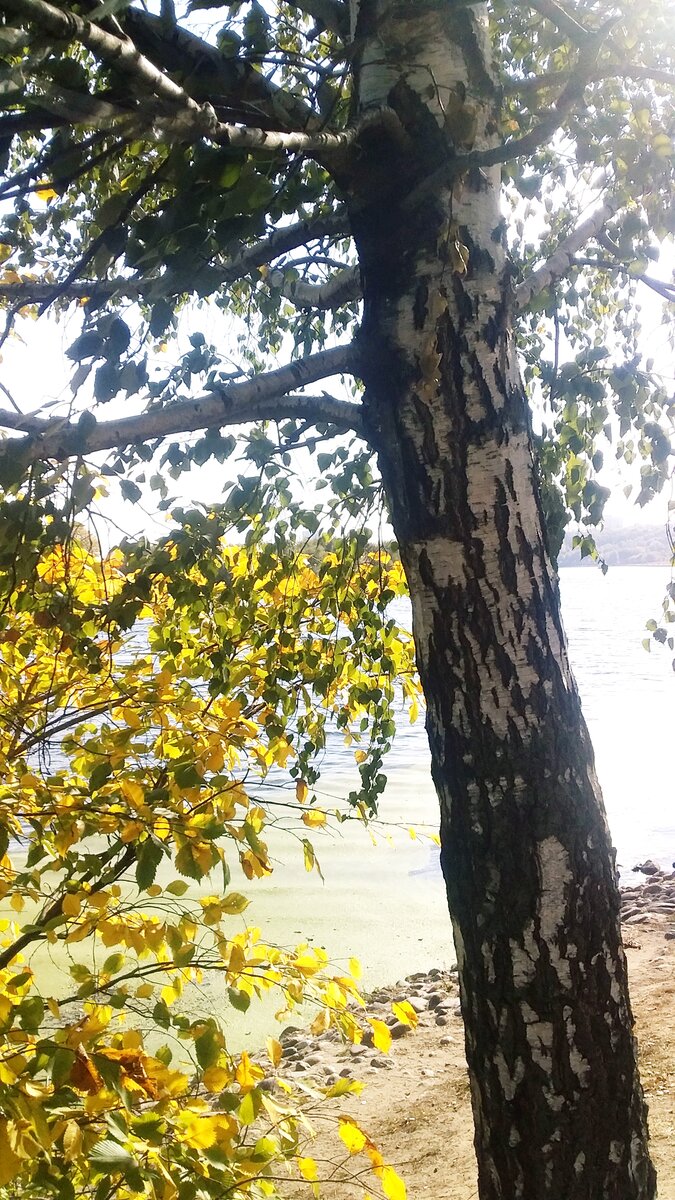 Фото автора.