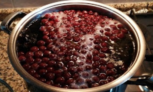 Ev Yapımı Meyve Suyu Tarifi