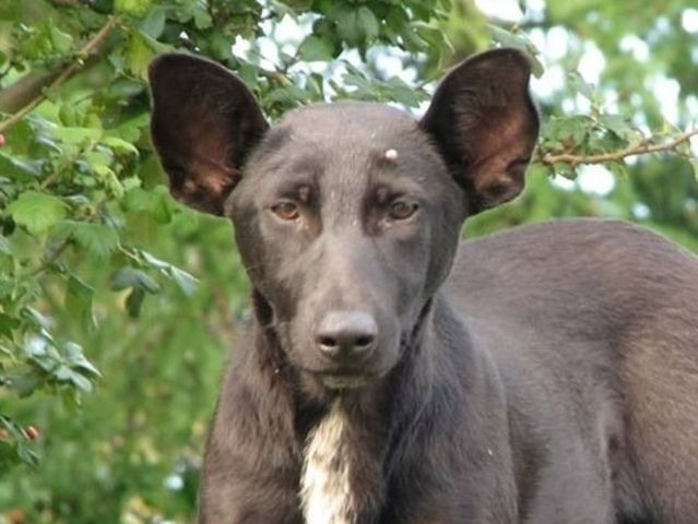 И правда, сходство поразительное...