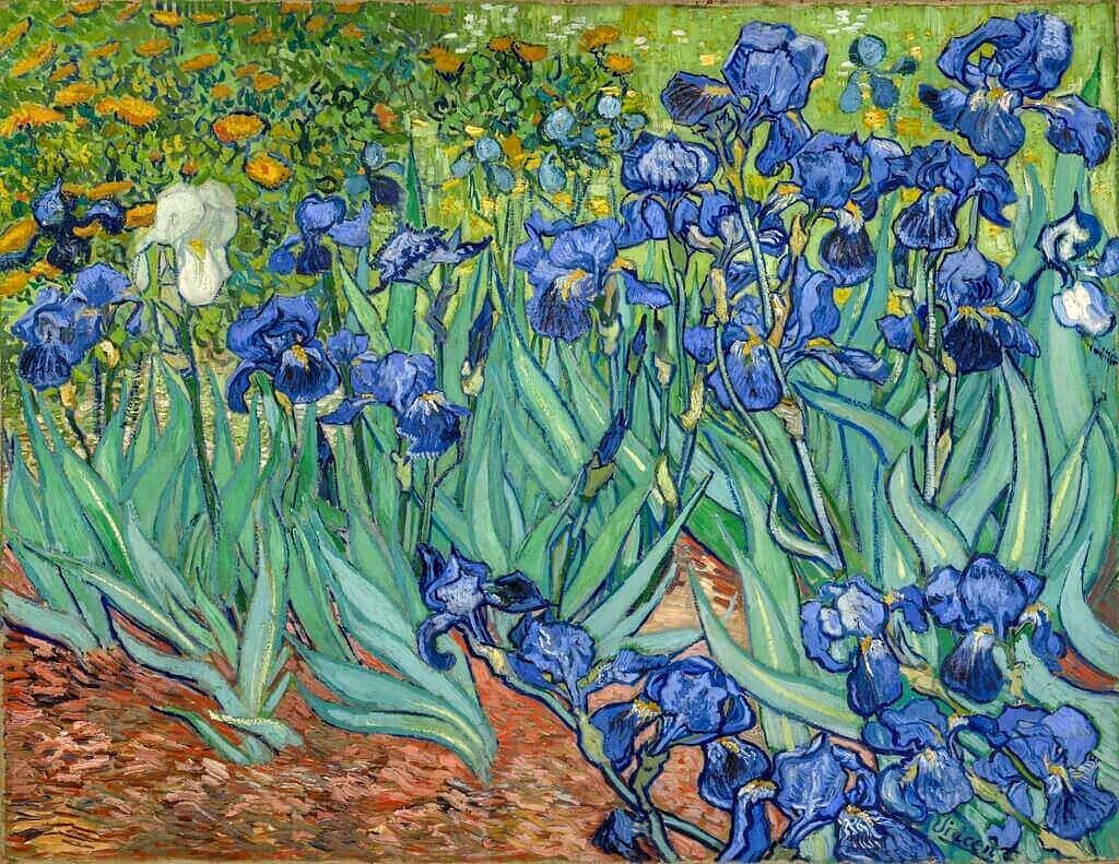 Винсент Ван Гог. Ирисы. 1889 г. Музей Гетти, Лос-Анджелес. ⠀⠀ «Ирисы» Ван Гог, также как и "Звёздную ночь" создал находясь в лечебнице для душевнобольных в Сен-Реми (юго-восток Франции). За несколько месяцев до этого он отрезал себе бритвой мочку уха, испытав сильнейший нервный срыв. С тех пор где-то раз в месяц с ним случались припадки. Он впадал в забытье на несколько часов.

Принято считать, что после этого случая Ван Гог потерял рассудок. А значит «Ирисы» написаны безумцем.

Никто не знает, какая болезнь поразила художника. Возможно, он страдал эпилепсией (как его дядя и сестра). Но это значит, что между припадками он был абсолютно вменяем.

А может это были панические атаки. Но когда они проходят, то человек также вполне адекватен.

В любом случае, достаточно посмотреть на его «Ирисы», чтобы убедиться, что это написал человек в здравом уме.

Более того, человек, который всеми фибрами души хотел выздороветь и продолжить работать.

Ведь у Ван Гога была мечта. Он хотел изменить живопись и доказать другим, что его метод работы имеет право на жизнь.

В конце концов, он хотел продавать свои работы, чтобы получить материальную независимость и расплатиться с братом Тео (тот выплачивал ему ежемесячное содержание). Когда Ван Гог создавал «Ирисы», все эти надежды ещё теплились в нем. Он был уверен, что живопись поможет ему преодолеть недуг.

Поэтому картина такая светлая, позитивная. В ней отражается настрой художника на лучшее.

На картине мы видим цветочный ковёр. Нет горизонта и неба. Ван Гог сделал так, чтобы внимание зрителя было приковано только к цветам.

Среди синих цветов растёт одинокий белый ирис. 
Может художник так обозначает собственное одиночество?

Ведь никто не верил в него. Кроме его брата Тео и его самого.

Вряд ли. Ван Гог не любил символику. Стремился рисовать только реальный мир.

Ему была важнее выразительность. То есть возможность через цвет и форму выразить суть вещей. То, как он ее видел и понимал.

После смерти матери Ван Гога в 1907 году картину купил коллекционер за 300 франков. А уже в 1990 году она досталась музею Гетти (Лос-Анджелес). За … 54 млн. долларов.

Нам очень повезло, что «Ирисы» дошли до нас...
#ирисы #вангог