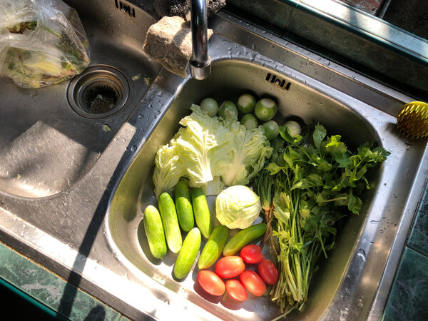 Схематичное изображение метаболизма и расхода энергии