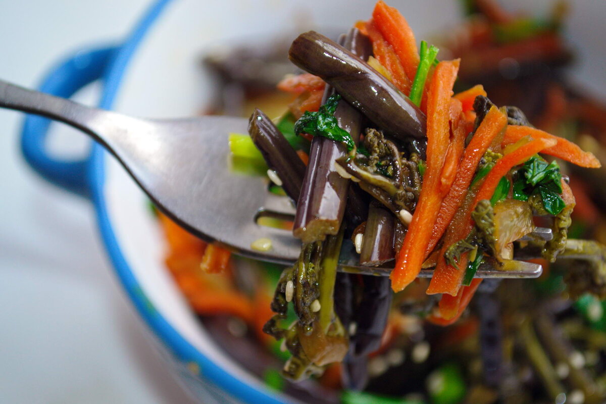 папоротник корейский салат. папоротник орляк сушеный. приготовление папоротника по корейски. приготовление папоротника по корейски. как приготовить папоротник по-корейски из соленого.