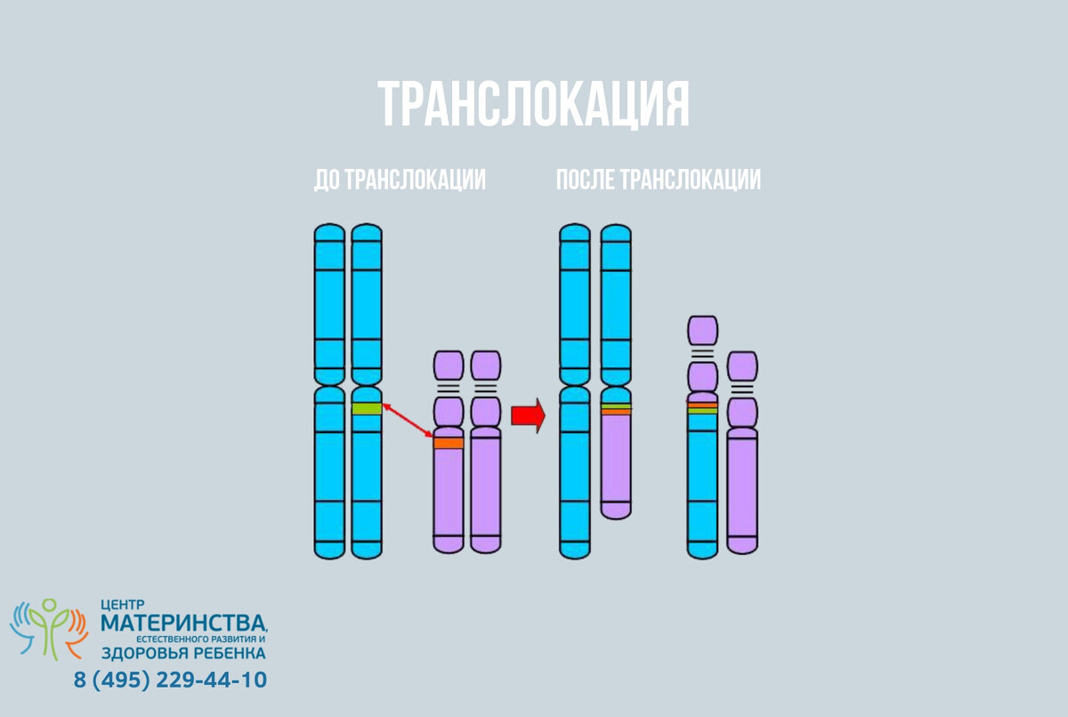 Что такое транслокация. Робертсоновские транслокации. Мозаичная транслокация. Транслокация схема питания. Транслокация радикалов.