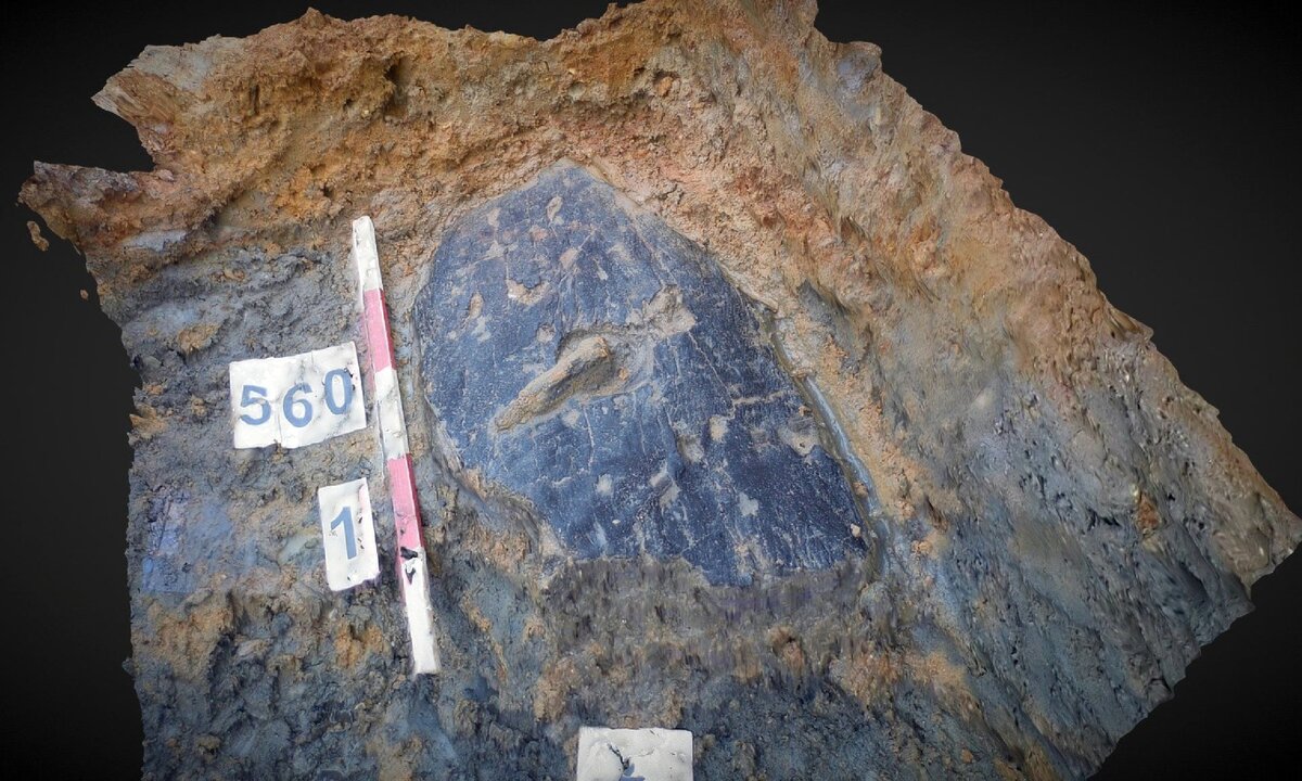3D-модель щита, лежащего в земле. Archaeological Services (ULAS)