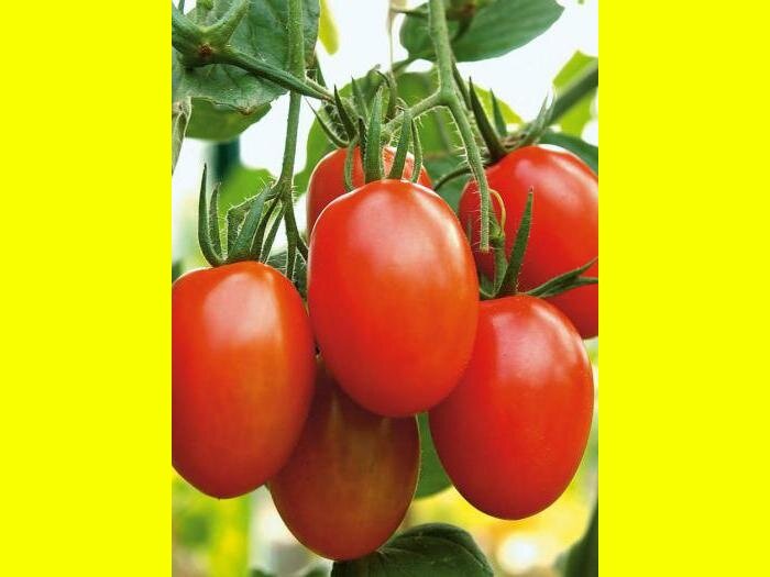 Фото взято с яндекс картинок с целью иллюстрации