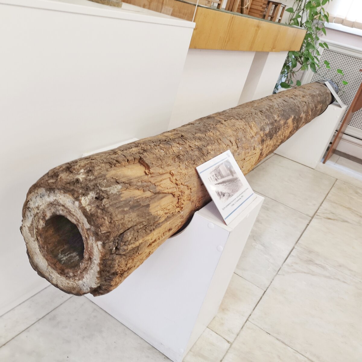 Деревянная труба найденная в Москве. 