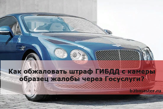 Фото: pixabay.com