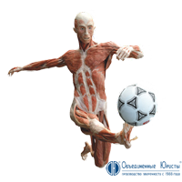 Медицинская лицензия. Как подготовить помещение.