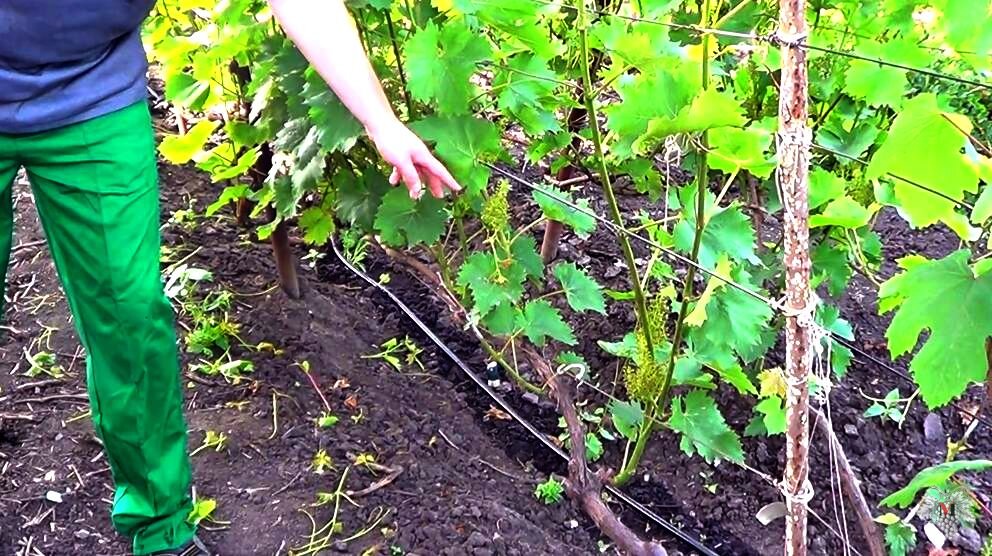 Фото из архива 2018 года  