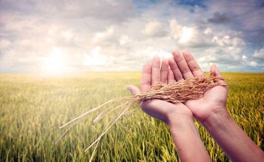 Люди верят не только в Бога но и в приметы, которые наши предки замечали.