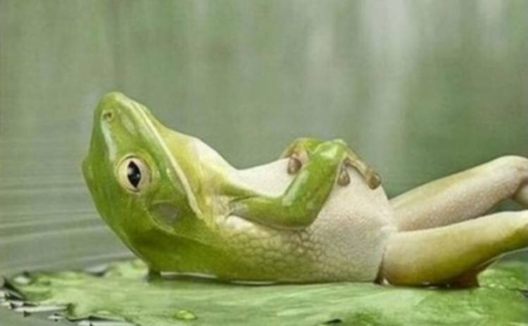 Фото добавлено из открытых источников для иллюстрации.