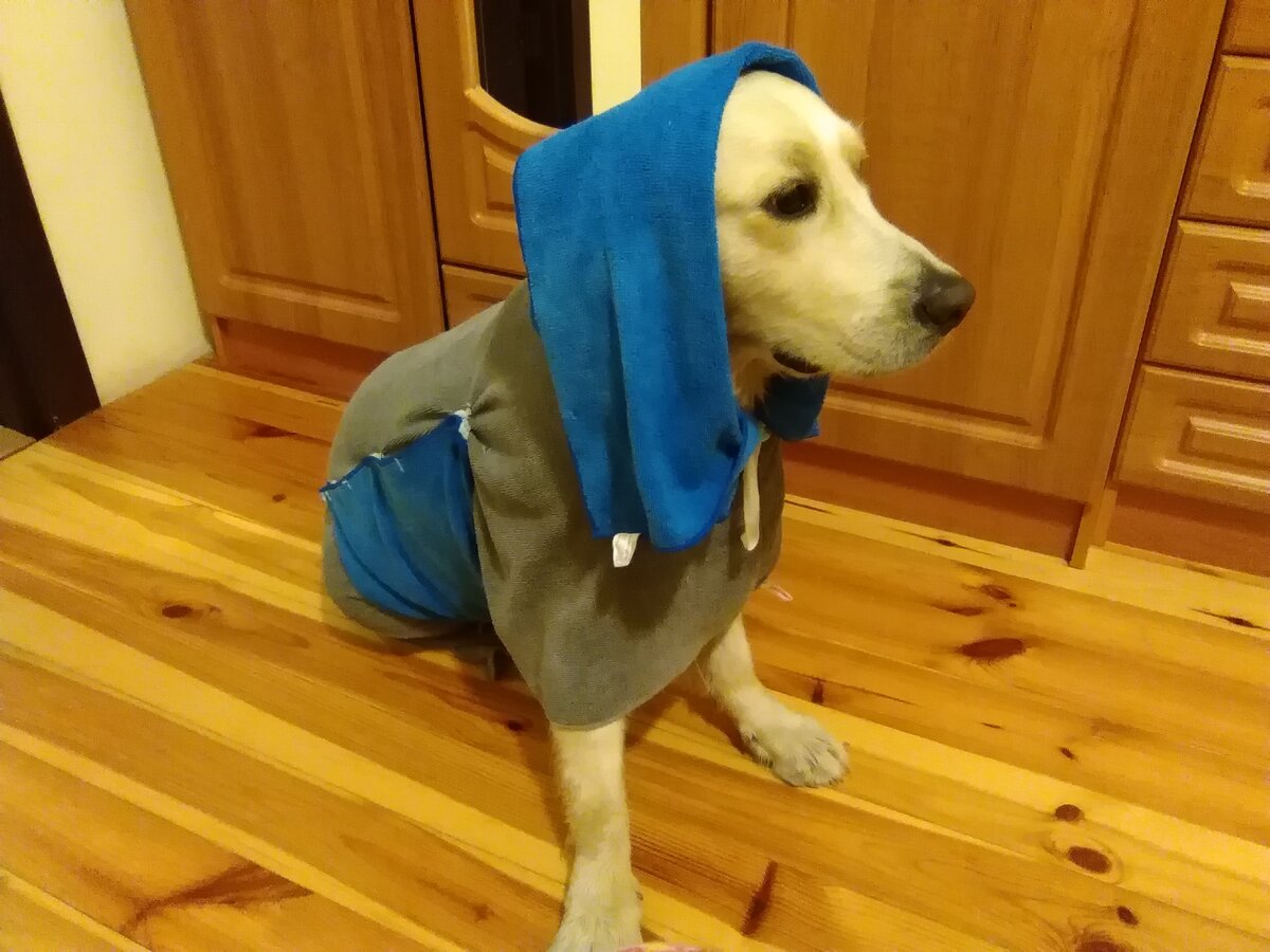 Халат для собаки. Сама шила.