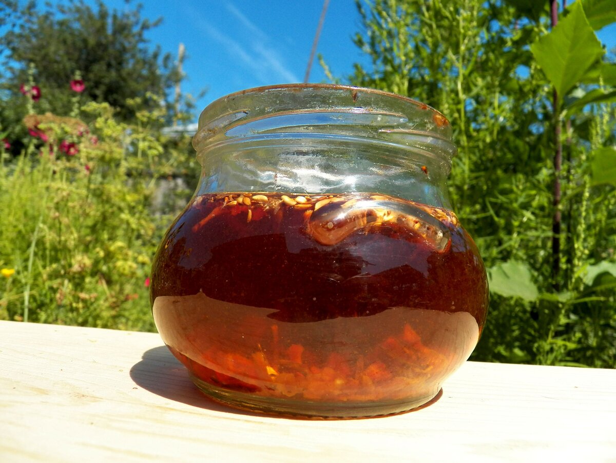 Самый мощный желчегонный настой, очищающий печень