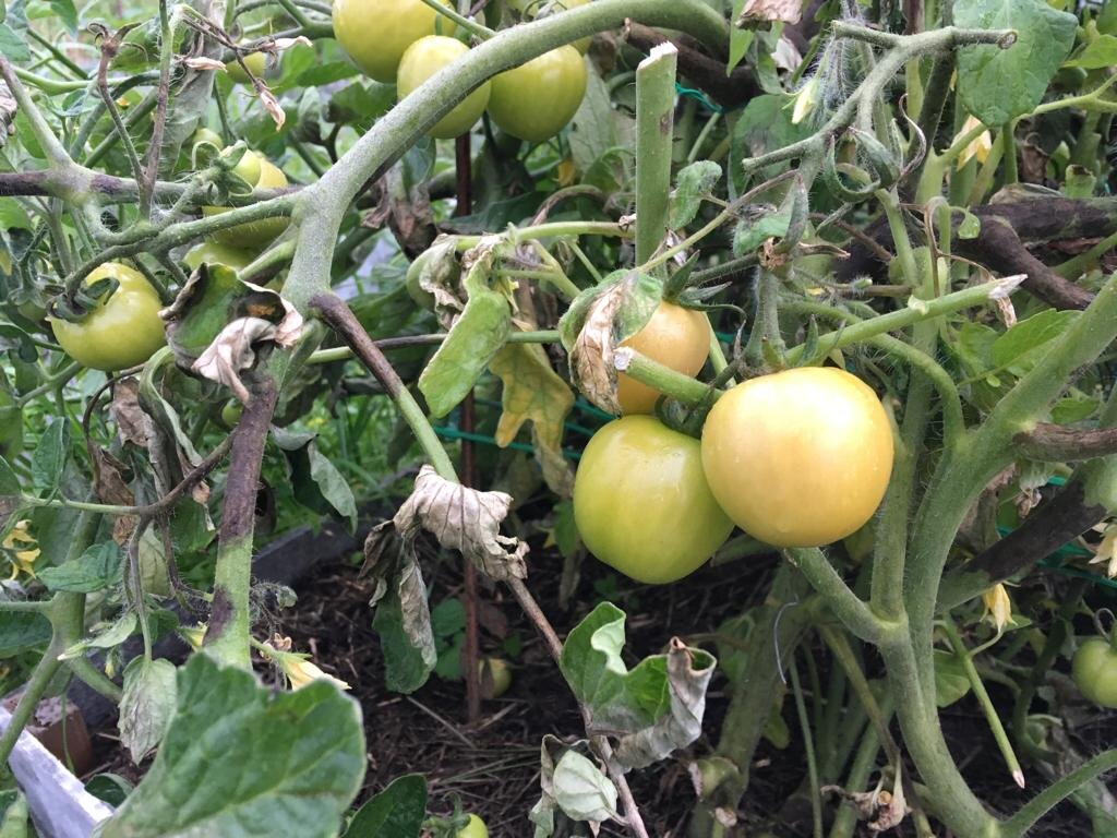 А счастье было так возможно...