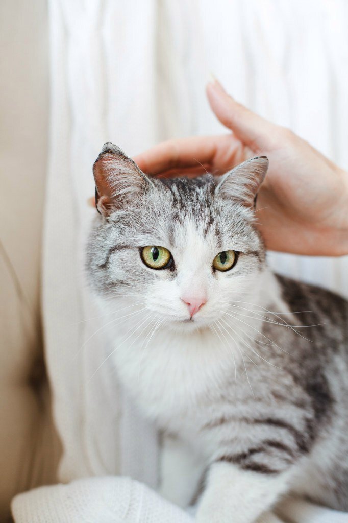 Правда она красавица