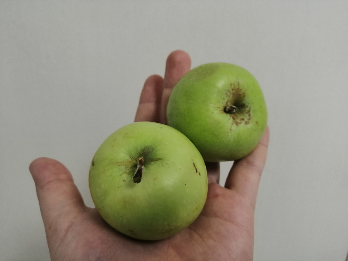 2 шт примерно на 100г-47 ккал