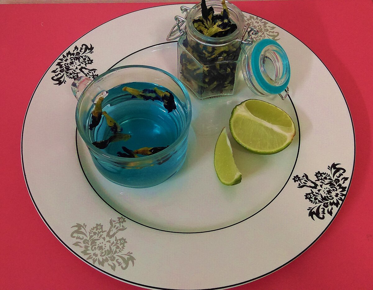 Такой нежно-голубой цвет в начале заваривания