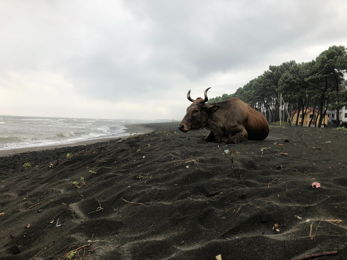 Район Уреки