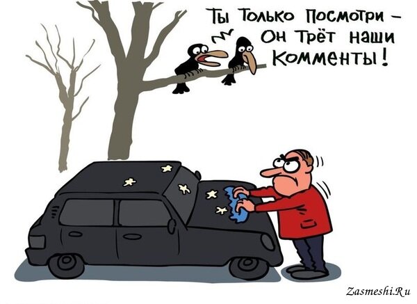 Источник картинки: https://zasmeshi.ru/caricature/category/1181/ravens.html