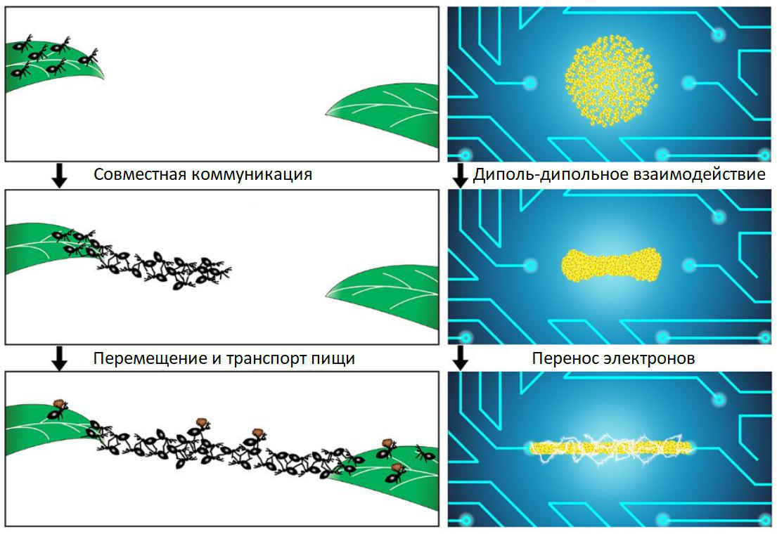Слева муравьи, а справа электроны