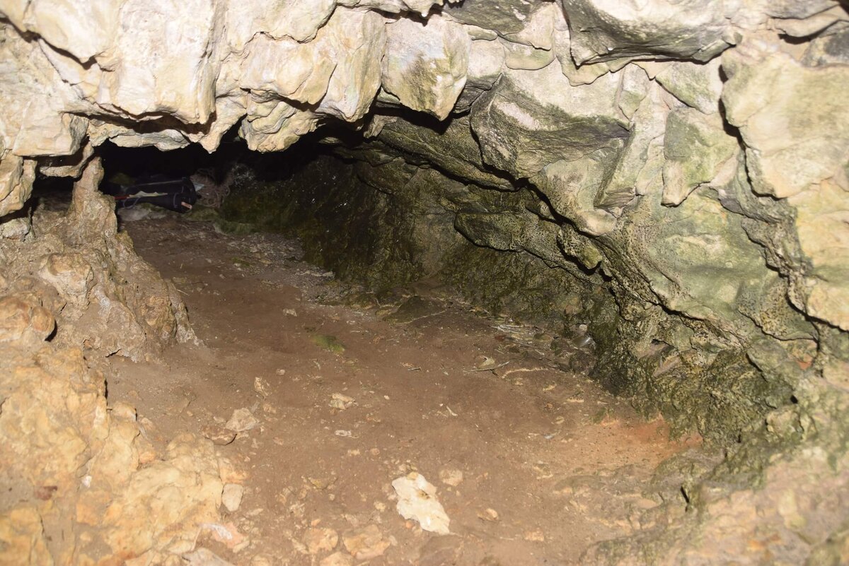 Вход в пещеру Т-образная/Калиновская