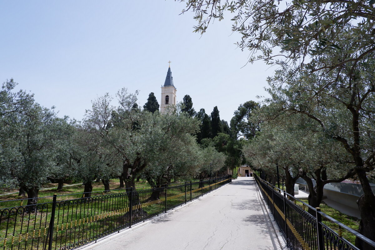 На одной из аллей в Вознесенском монастыре