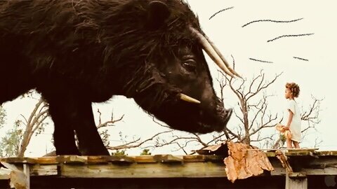 «Звери дикого Юга»