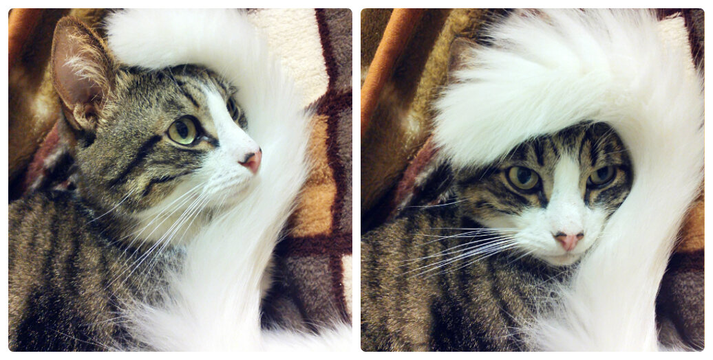 Фото канала Гид Парфюм.