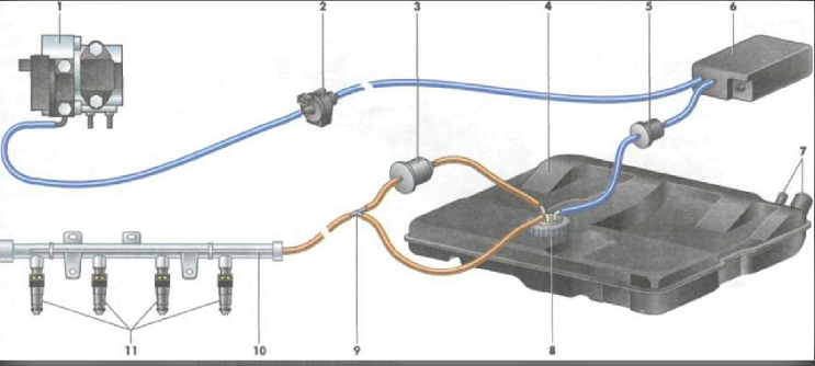 1 — дроссельный узел; 2 — электромагнитный клапан; 3 — топливный фильтр; 4 — топливный бак; 5 — двухходовой клапан; 6 — адсорбер; 7 — патрубки наливной и дренажной трубок; 8 — топливный модуль; 9 — тройник; 10 — топливная рампа; 11 — форсунки