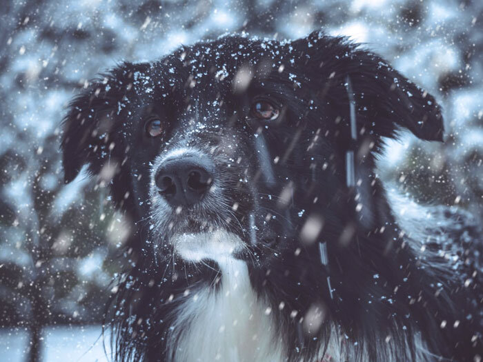 Источник: Unsplash