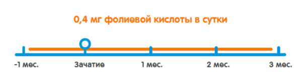 Фолиевая кислота при беременности: дозировка