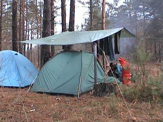 Фото из сети интернет 