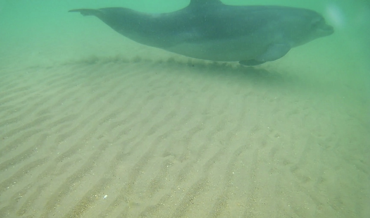 Фото сделано мной