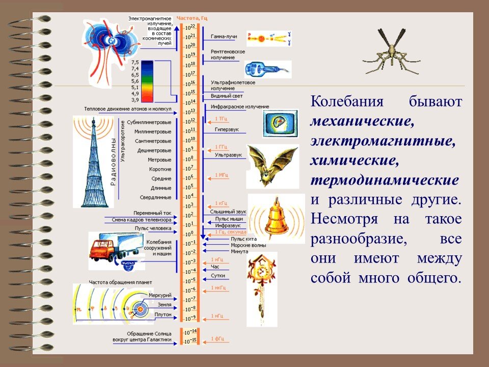 Колебательные движения в природе и технике